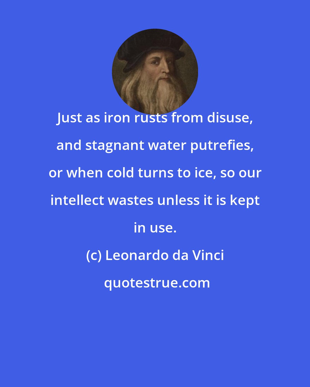 Leonardo da Vinci: Just as iron rusts from disuse, and stagnant water putrefies, or when cold turns to ice, so our intellect wastes unless it is kept in use.