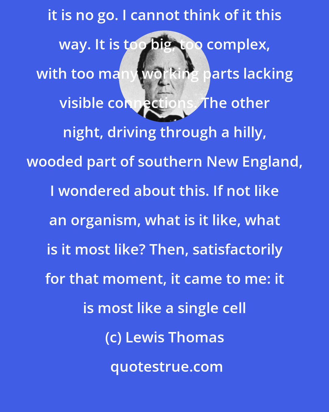 Lewis Thomas: I have been trying to think of the earth as a kind of organism, but it is no go. I cannot think of it this way. It is too big, too complex, with too many working parts lacking visible connections. The other night, driving through a hilly, wooded part of southern New England, I wondered about this. If not like an organism, what is it like, what is it most like? Then, satisfactorily for that moment, it came to me: it is most like a single cell