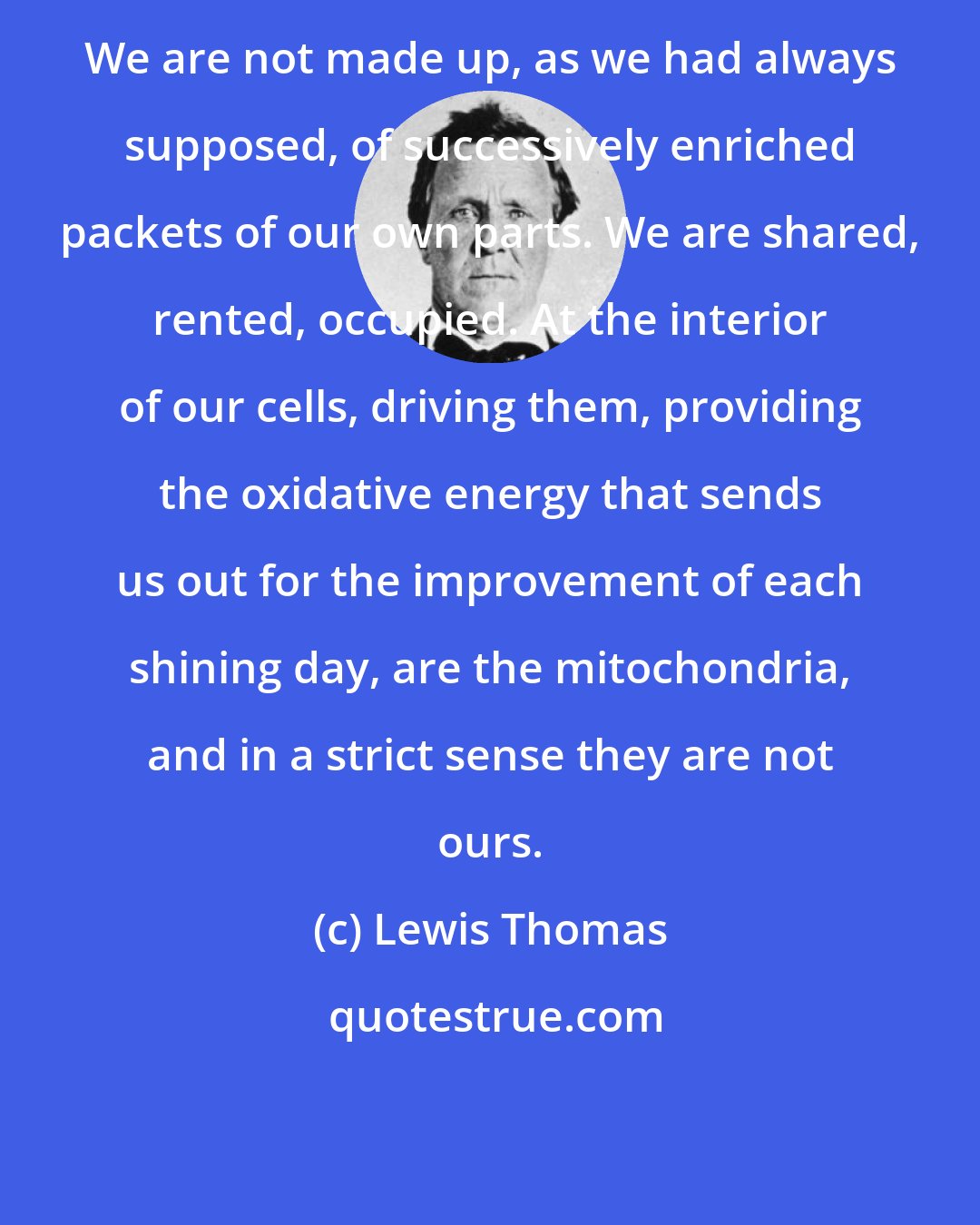 Lewis Thomas: We are not made up, as we had always supposed, of successively enriched packets of our own parts. We are shared, rented, occupied. At the interior of our cells, driving them, providing the oxidative energy that sends us out for the improvement of each shining day, are the mitochondria, and in a strict sense they are not ours.
