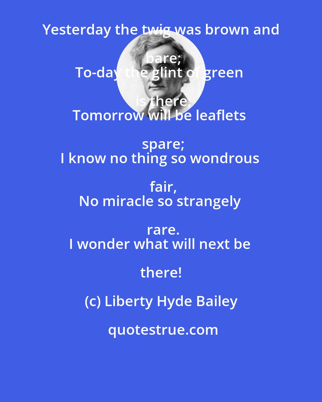 Liberty Hyde Bailey: Yesterday the twig was brown and bare;
To-day the glint of green is there;
Tomorrow will be leaflets spare;
I know no thing so wondrous fair,
No miracle so strangely rare.
I wonder what will next be there!