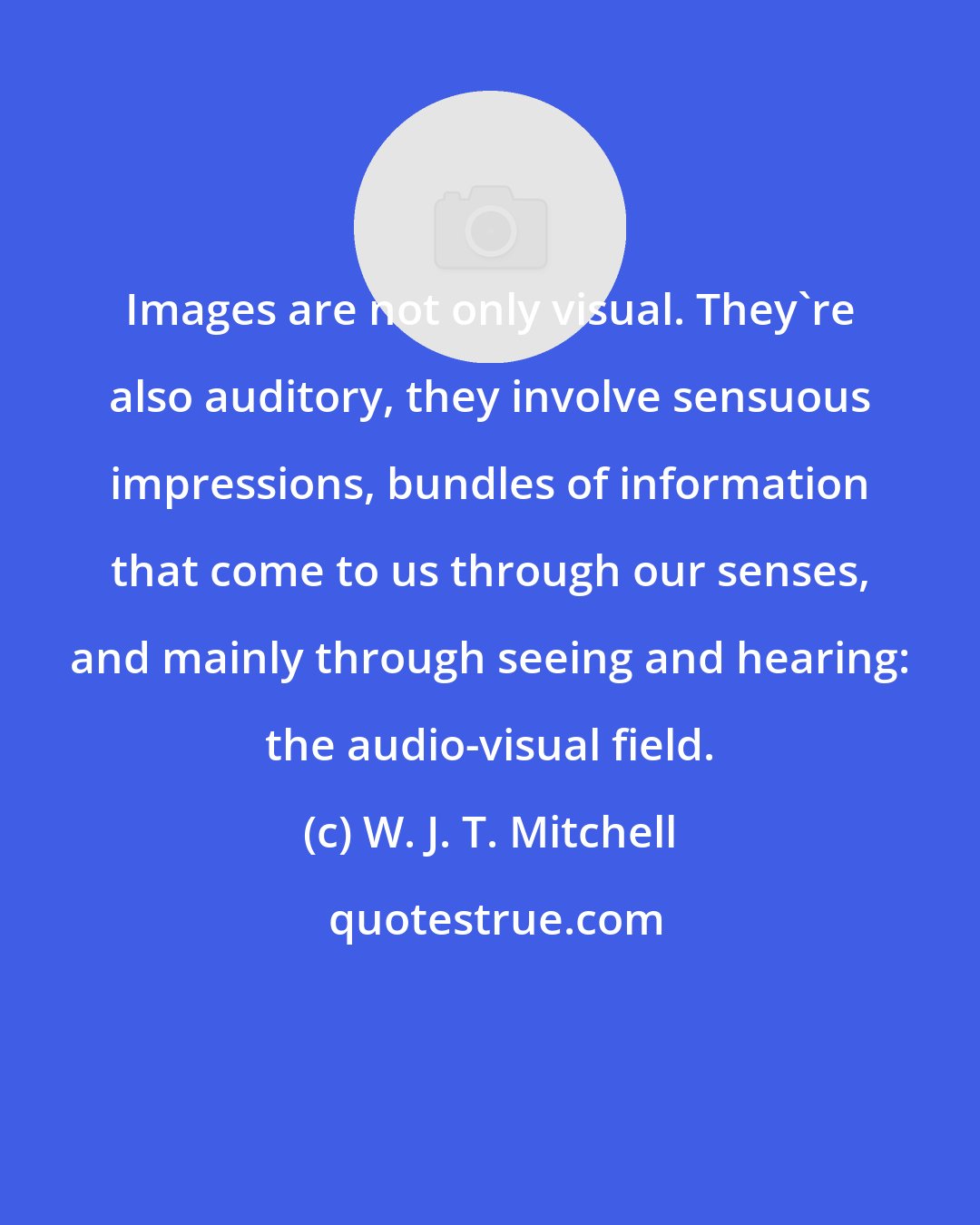 W. J. T. Mitchell: Images are not only visual. They're also auditory, they involve sensuous impressions, bundles of information that come to us through our senses, and mainly through seeing and hearing: the audio-visual field.