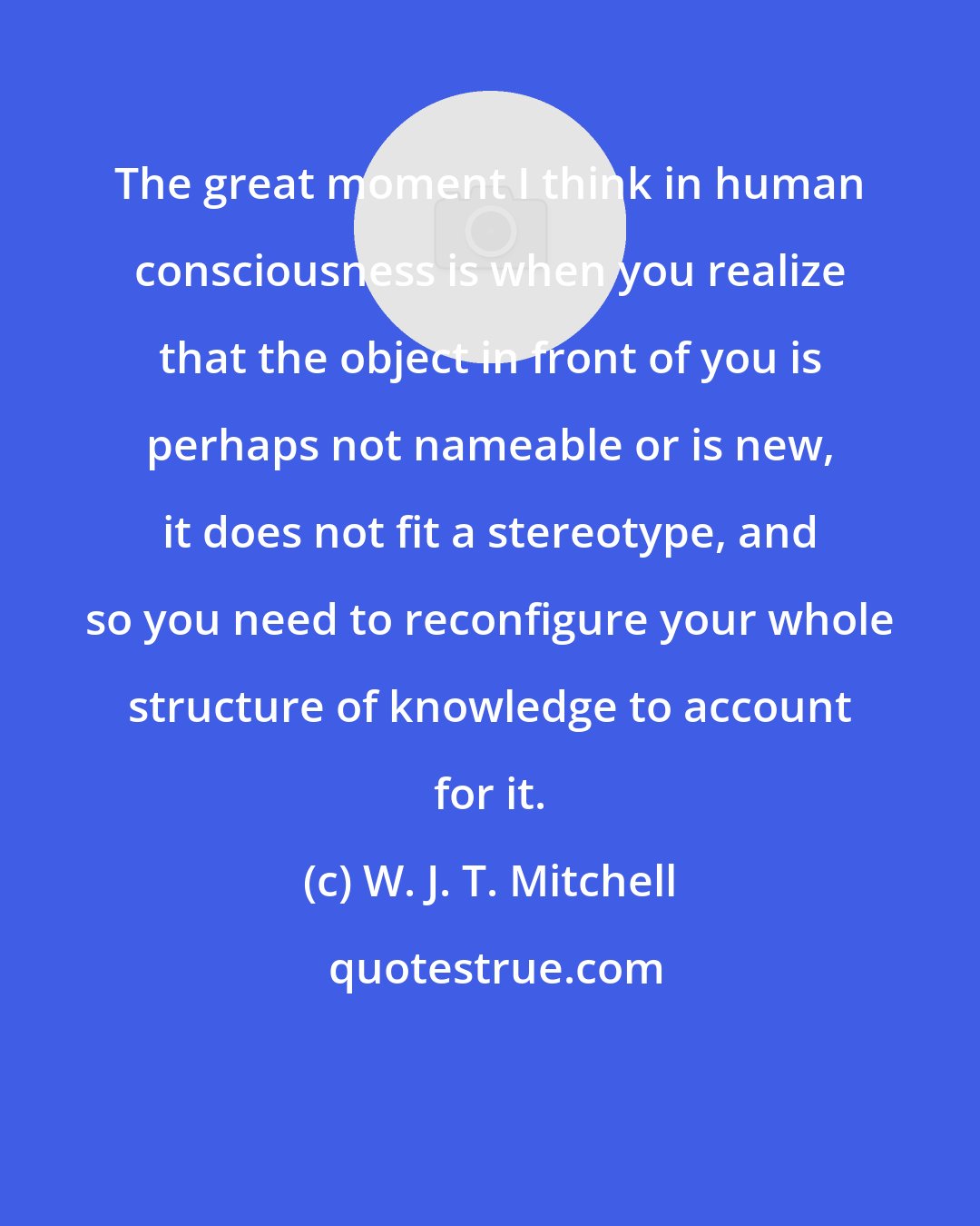 W. J. T. Mitchell: The great moment I think in human consciousness is when you realize that the object in front of you is perhaps not nameable or is new, it does not fit a stereotype, and so you need to reconfigure your whole structure of knowledge to account for it.
