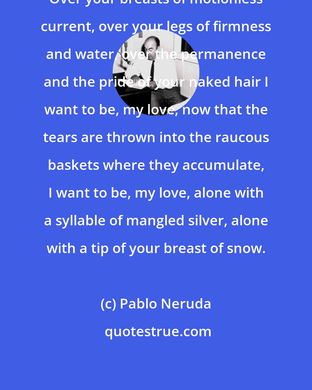 Pablo Neruda: Over your breasts of motionless current, over your legs of firmness and water, over the permanence and the pride of your naked hair I want to be, my love, now that the tears are thrown into the raucous baskets where they accumulate, I want to be, my love, alone with a syllable of mangled silver, alone with a tip of your breast of snow.