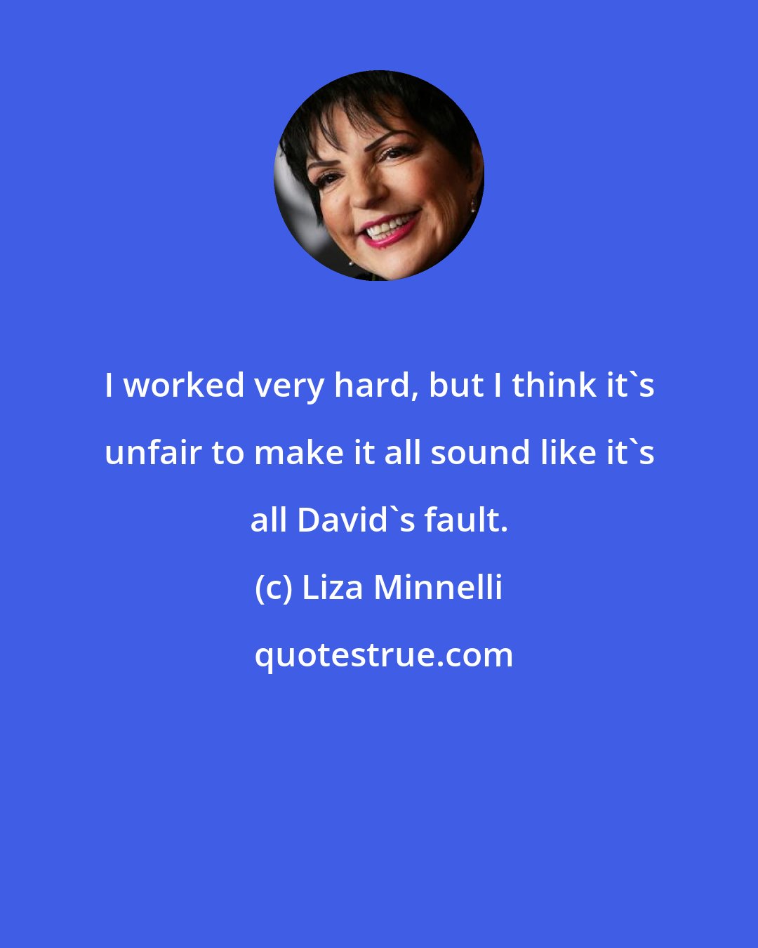 Liza Minnelli: I worked very hard, but I think it's unfair to make it all sound like it's all David's fault.