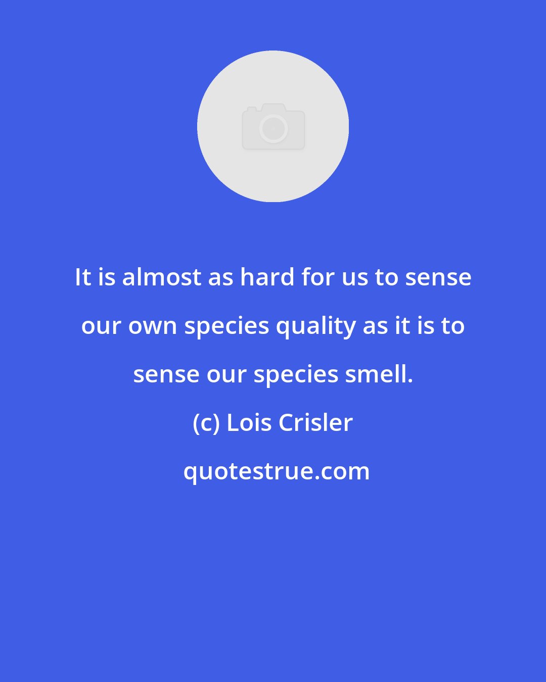 Lois Crisler: It is almost as hard for us to sense our own species quality as it is to sense our species smell.