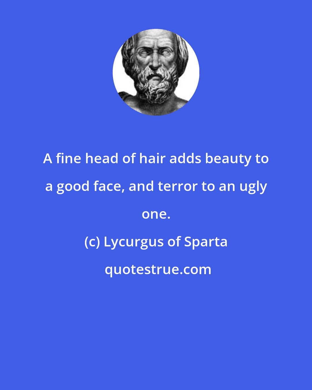 Lycurgus of Sparta: A fine head of hair adds beauty to a good face, and terror to an ugly one.