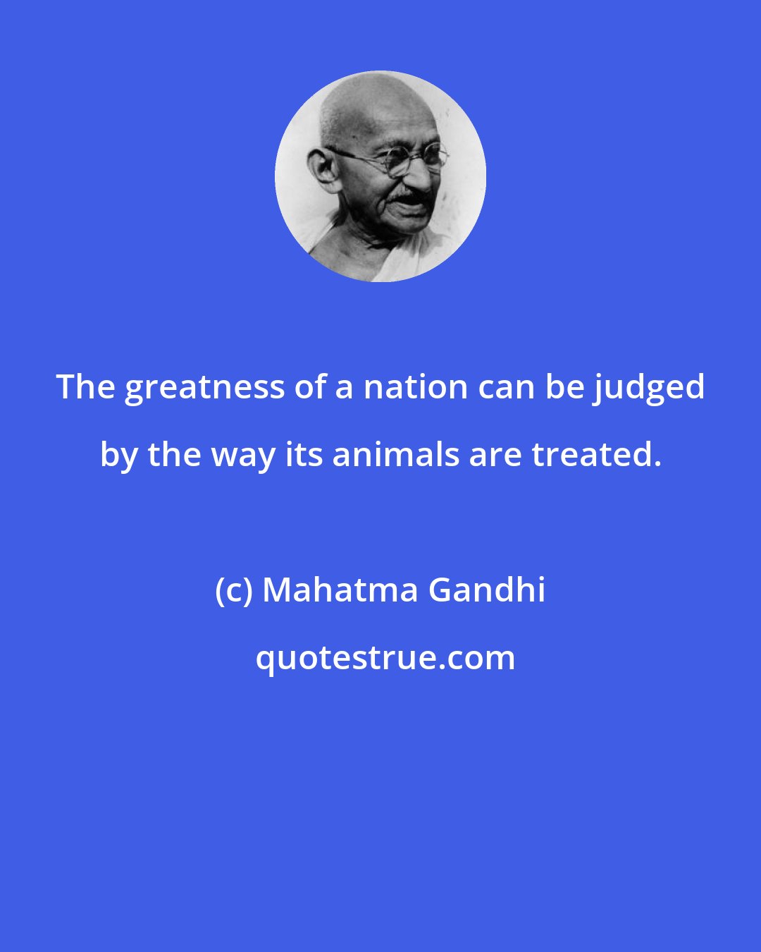 Mahatma Gandhi: The greatness of a nation can be judged by the way its animals are treated.