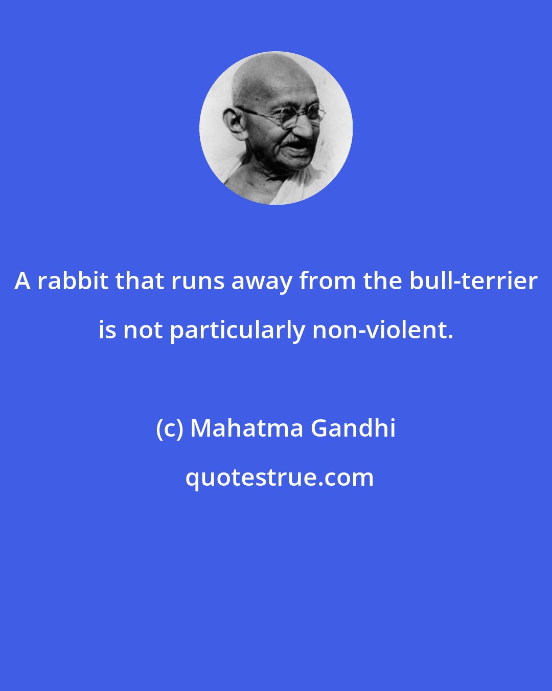Mahatma Gandhi: A rabbit that runs away from the bull-terrier is not particularly non-violent.