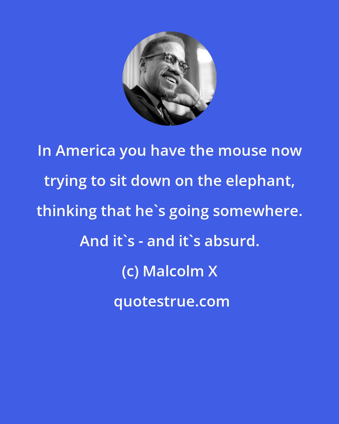 Malcolm X: In America you have the mouse now trying to sit down on the elephant, thinking that he's going somewhere. And it's - and it's absurd.