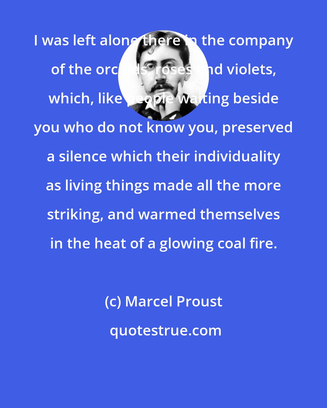 Marcel Proust: I was left alone there in the company of the orchids, roses and violets, which, like people waiting beside you who do not know you, preserved a silence which their individuality as living things made all the more striking, and warmed themselves in the heat of a glowing coal fire.