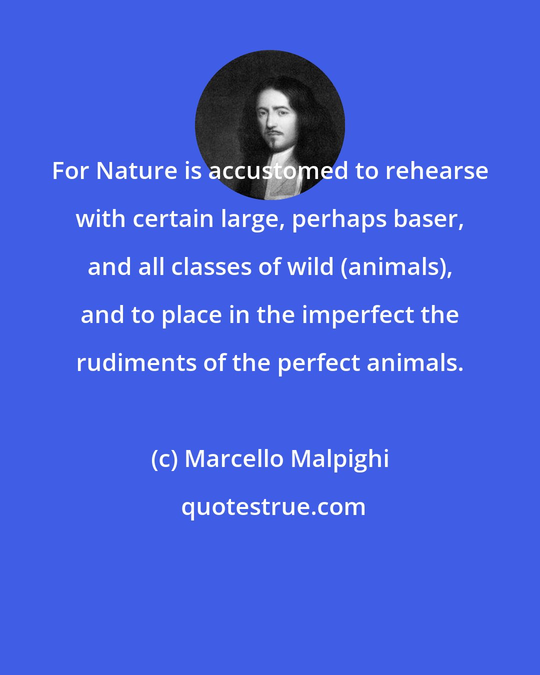 Marcello Malpighi: For Nature is accustomed to rehearse with certain large, perhaps baser, and all classes of wild (animals), and to place in the imperfect the rudiments of the perfect animals.