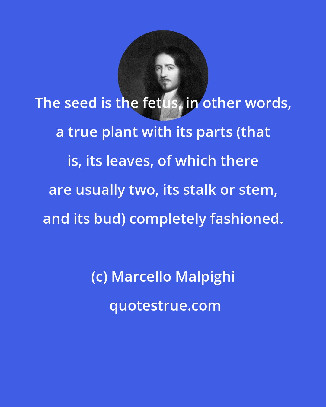 Marcello Malpighi: The seed is the fetus, in other words, a true plant with its parts (that is, its leaves, of which there are usually two, its stalk or stem, and its bud) completely fashioned.