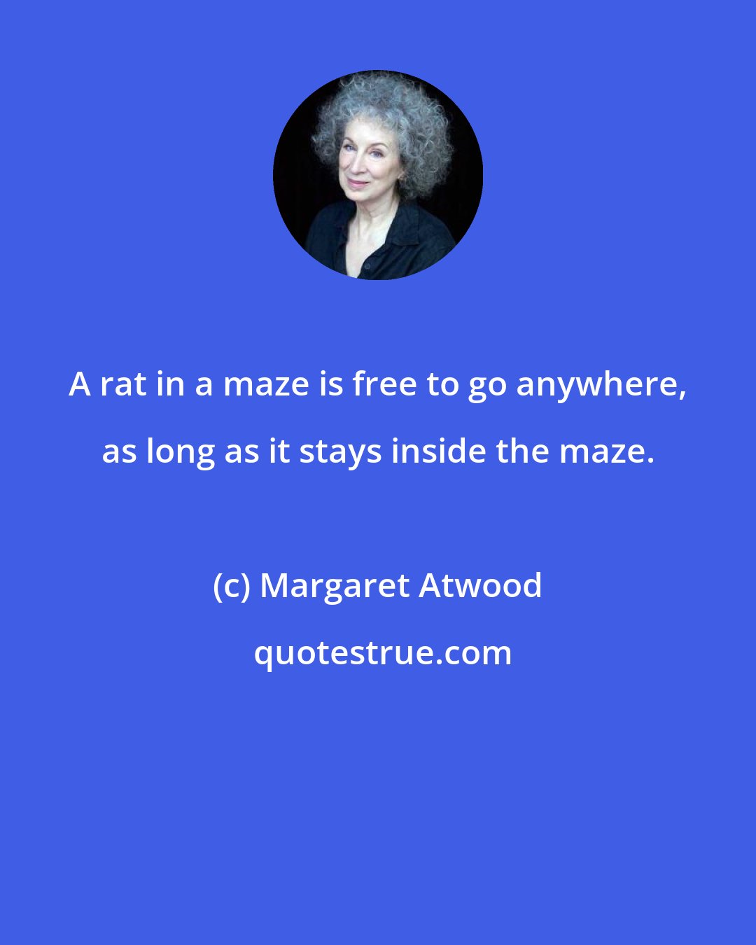 Margaret Atwood: A rat in a maze is free to go anywhere, as long as it stays inside the maze.