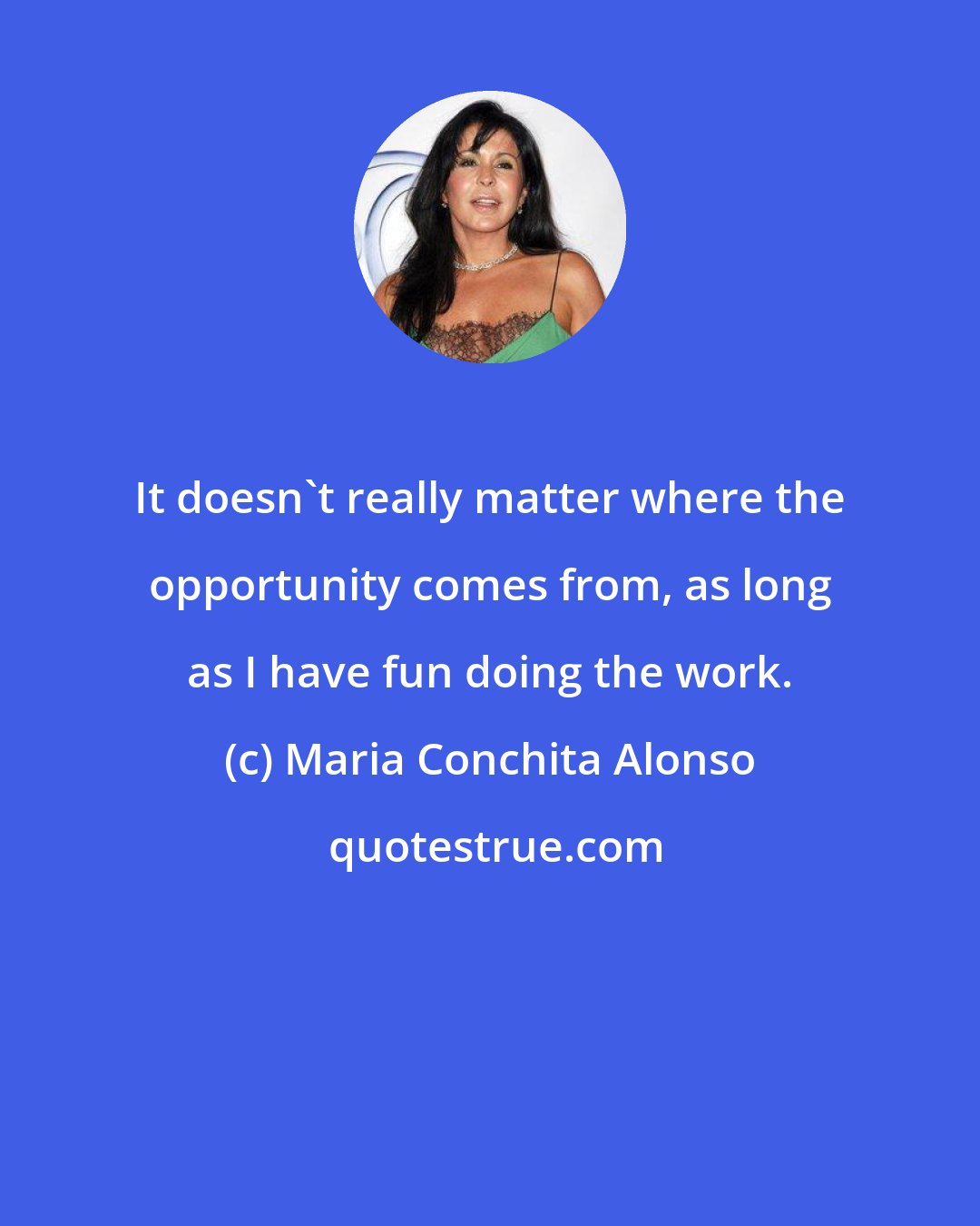 Maria Conchita Alonso: It doesn't really matter where the opportunity comes from, as long as I have fun doing the work.