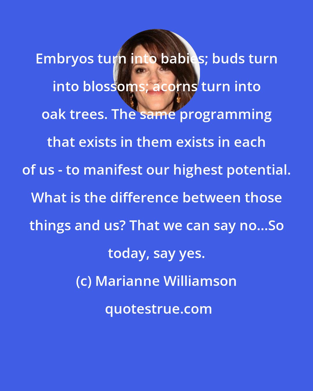 Marianne Williamson: Embryos turn into babies; buds turn into blossoms; acorns turn into oak trees. The same programming that exists in them exists in each of us - to manifest our highest potential. What is the difference between those things and us? That we can say no...So today, say yes.