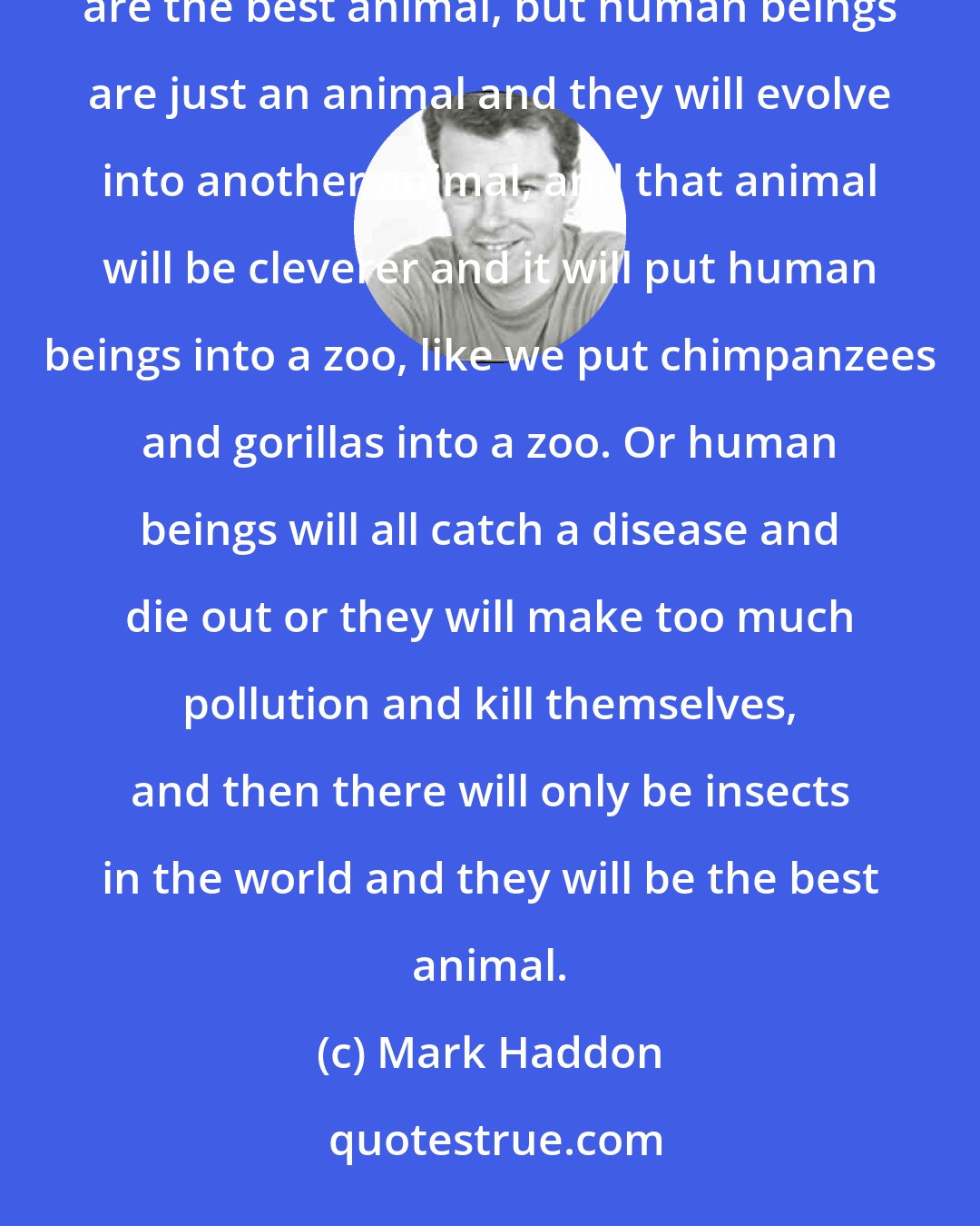 Mark Haddon: And people who believe in God think God has put human beings on earth because they think human beings are the best animal, but human beings are just an animal and they will evolve into another animal, and that animal will be cleverer and it will put human beings into a zoo, like we put chimpanzees and gorillas into a zoo. Or human beings will all catch a disease and die out or they will make too much pollution and kill themselves, and then there will only be insects in the world and they will be the best animal.