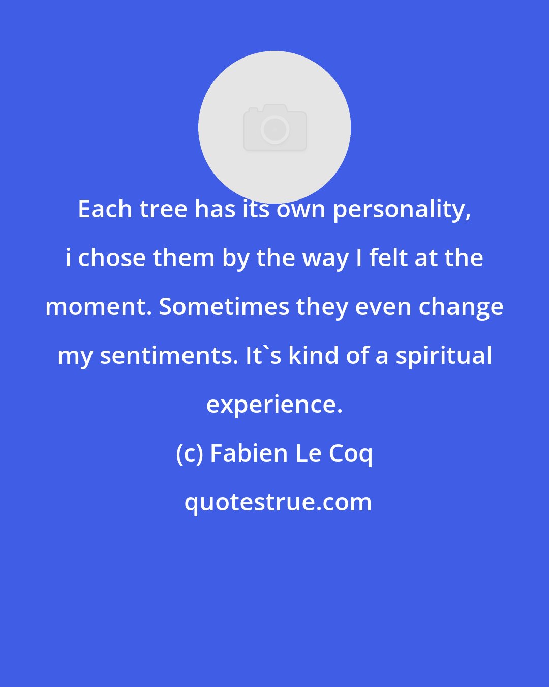 Fabien Le Coq: Each tree has its own personality, i chose them by the way I felt at the moment. Sometimes they even change my sentiments. It's kind of a spiritual experience.