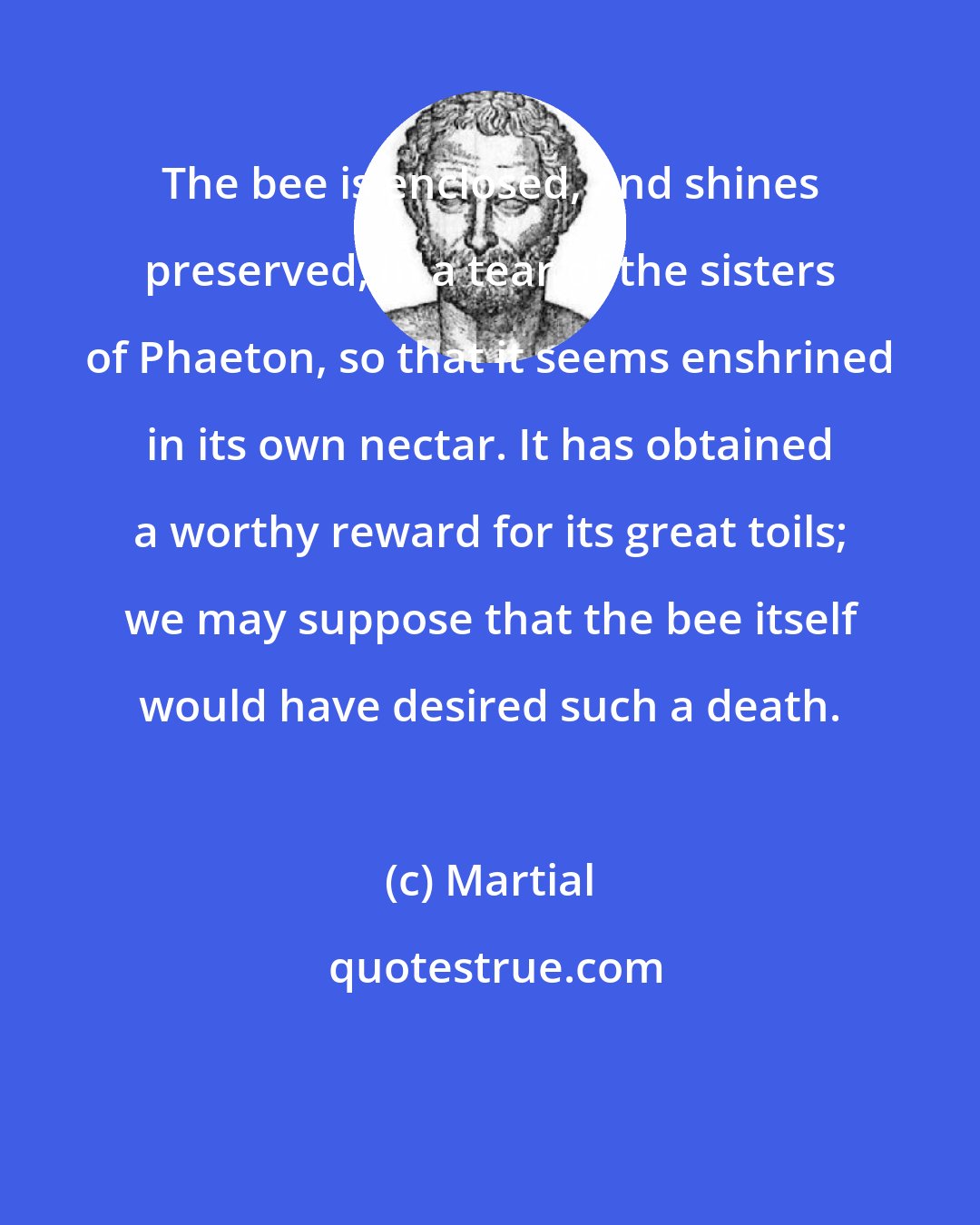 Martial: The bee is enclosed, and shines preserved, in a tear of the sisters of Phaeton, so that it seems enshrined in its own nectar. It has obtained a worthy reward for its great toils; we may suppose that the bee itself would have desired such a death.