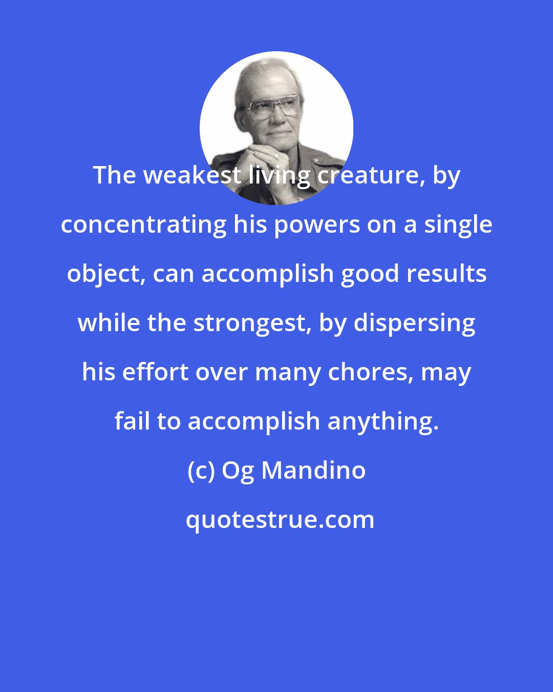 Og Mandino: The weakest living creature, by concentrating his powers on a single object, can accomplish good results while the strongest, by dispersing his effort over many chores, may fail to accomplish anything.