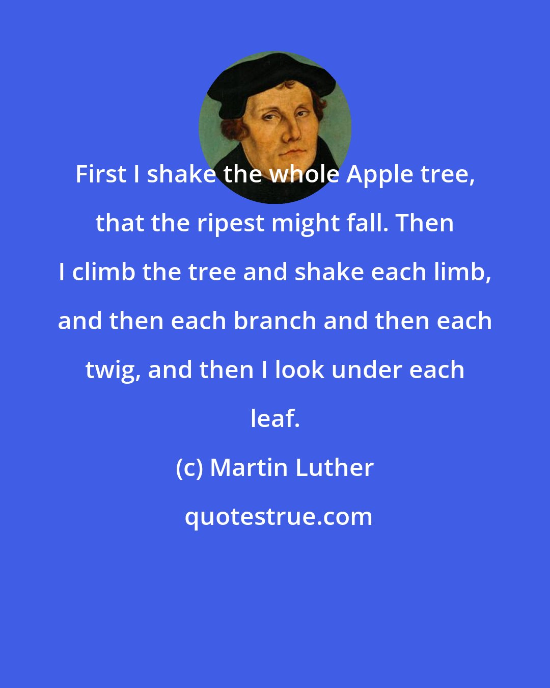 Martin Luther: First I shake the whole Apple tree, that the ripest might fall. Then I climb the tree and shake each limb, and then each branch and then each twig, and then I look under each leaf.