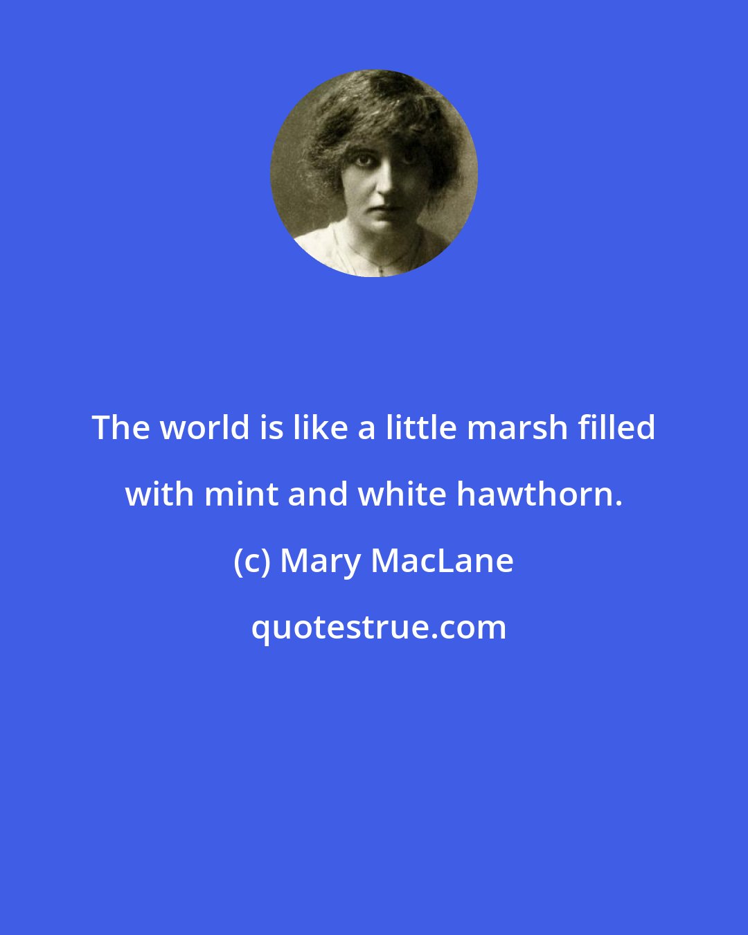 Mary MacLane: The world is like a little marsh filled with mint and white hawthorn.