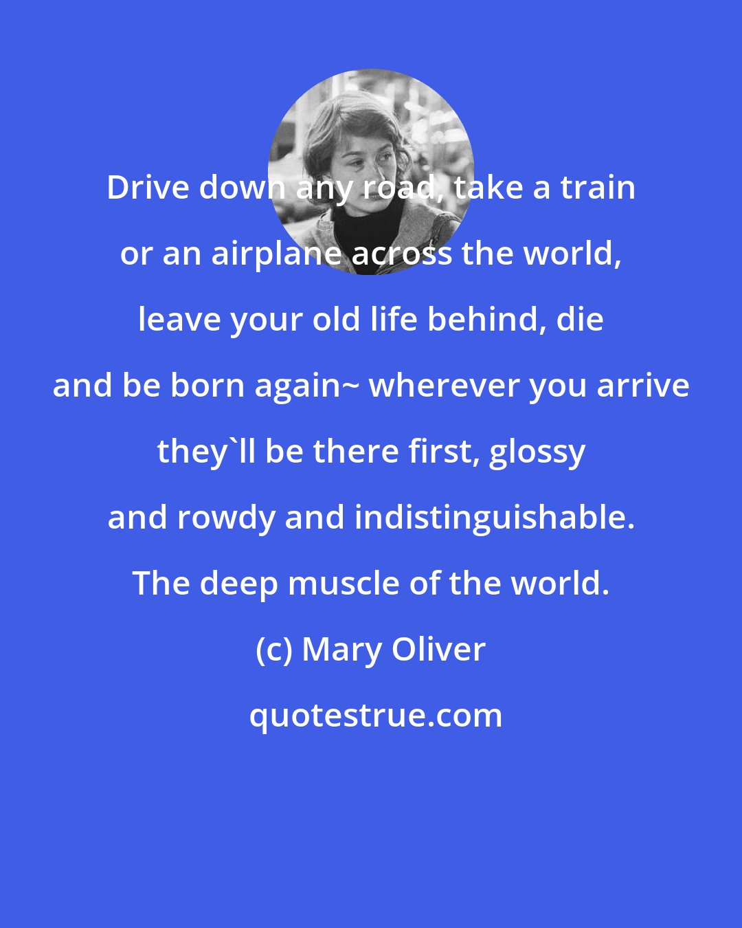 Mary Oliver: Drive down any road, take a train or an airplane across the world, leave your old life behind, die and be born again~ wherever you arrive they'll be there first, glossy and rowdy and indistinguishable. The deep muscle of the world.