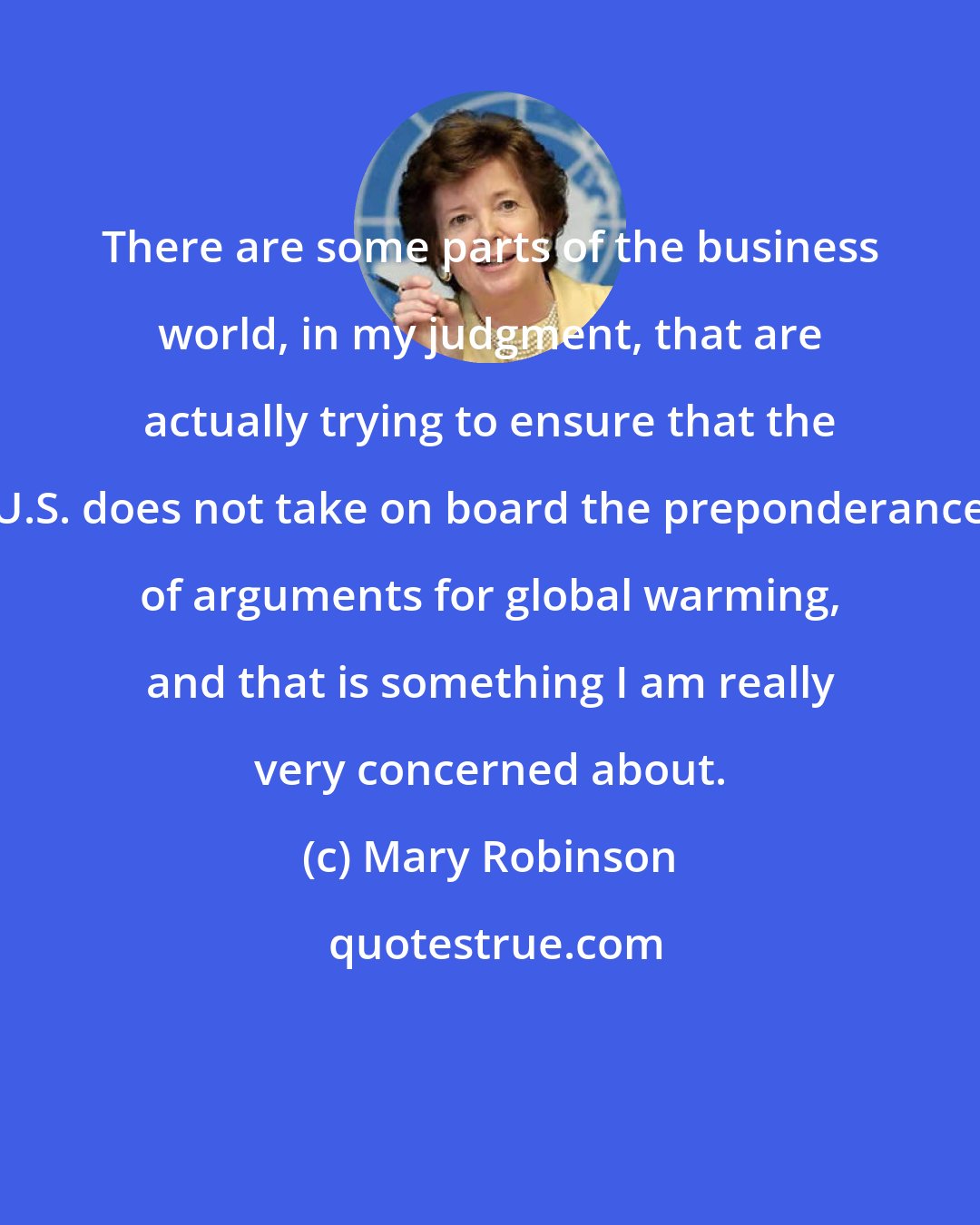 Mary Robinson: There are some parts of the business world, in my judgment, that are actually trying to ensure that the U.S. does not take on board the preponderance of arguments for global warming, and that is something I am really very concerned about.