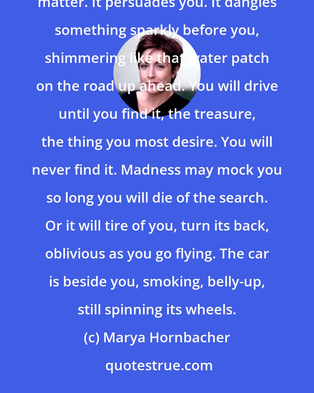 Marya Hornbacher: Madness will push you anywhere it wants. It never tells you where you're going, or why. It tells you it doesn't matter. It persuades you. It dangles something sparkly before you, shimmering like that water patch on the road up ahead. You will drive until you find it, the treasure, the thing you most desire. You will never find it. Madness may mock you so long you will die of the search. Or it will tire of you, turn its back, oblivious as you go flying. The car is beside you, smoking, belly-up, still spinning its wheels.