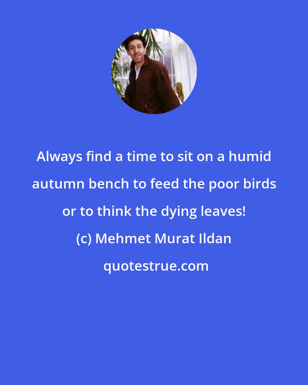Mehmet Murat Ildan: Always find a time to sit on a humid autumn bench to feed the poor birds or to think the dying leaves!