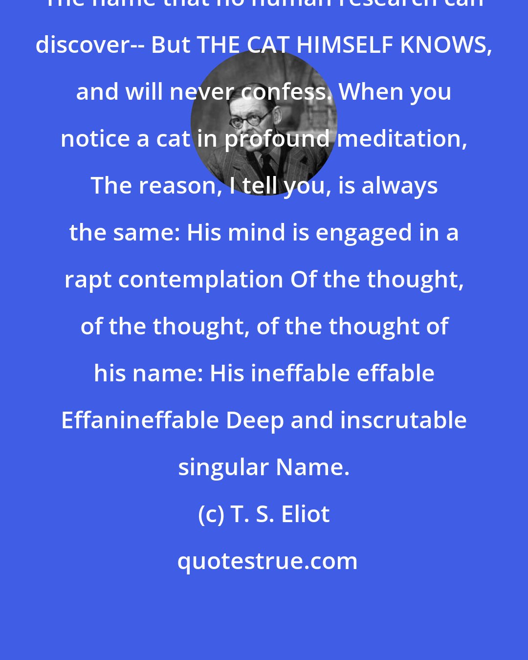 T. S. Eliot: The name that no human research can discover-- But THE CAT HIMSELF KNOWS, and will never confess. When you notice a cat in profound meditation, The reason, I tell you, is always the same: His mind is engaged in a rapt contemplation Of the thought, of the thought, of the thought of his name: His ineffable effable Effanineffable Deep and inscrutable singular Name.