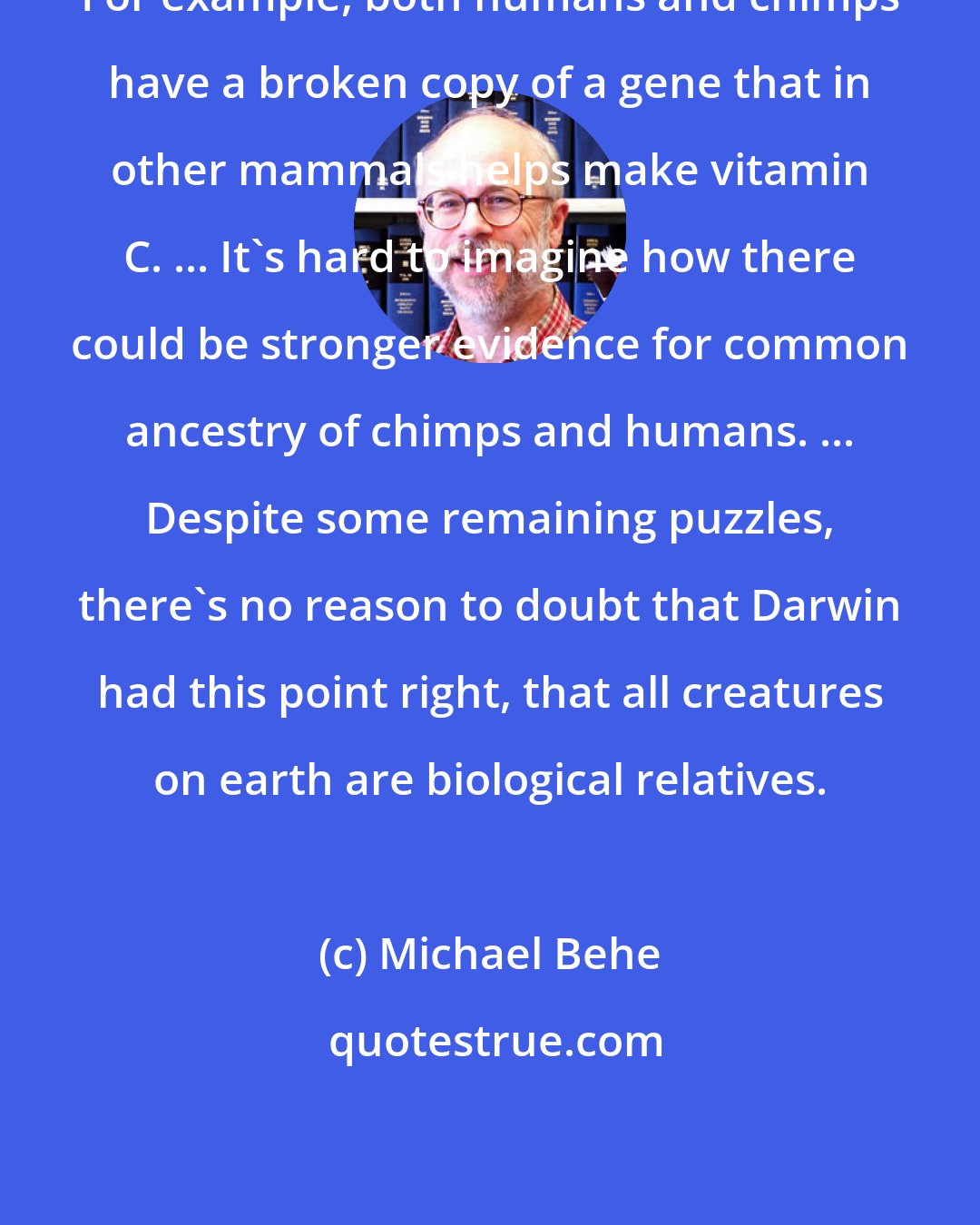 Michael Behe: For example, both humans and chimps have a broken copy of a gene that in other mammals helps make vitamin C. ... It's hard to imagine how there could be stronger evidence for common ancestry of chimps and humans. ... Despite some remaining puzzles, there's no reason to doubt that Darwin had this point right, that all creatures on earth are biological relatives.